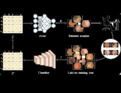 Deep Reinforcement Active Learning for Medical Image Classification