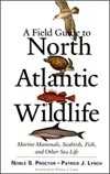 A Field Guide to North Atlantic Wildlife, by Patrick J. Lynch, book cover