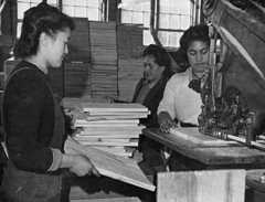 Working in a box factory