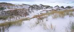 Dunes at Mason Bay, Stewart Island