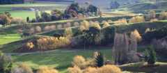 Trees and farmland near Gisborne