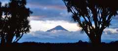 Mt Taranaki from Turuturumōkai pā