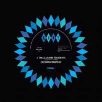 It Takes A Lotta Teardrops / I'm In Love (MP3)
