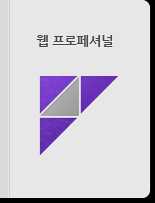 웹 프로페셔널