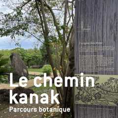 Le chemin kanak