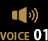 voice1