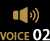 voice2