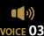 voice3