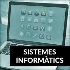 Sistemes Informàtics