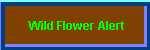 Wildflower Alerts!  Plan your trip!