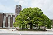 京都大学