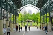 首都大学東京