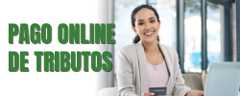 bannertributos