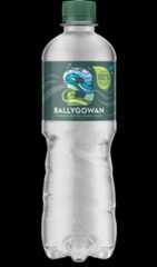 Carousel Ballygowan 500Ml Sparkling