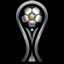 Copa Sudamericana