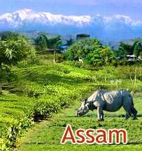 Assam State