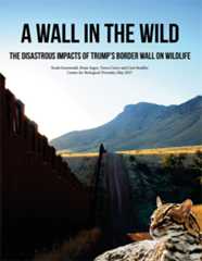 A Wall in the Wild, report cover