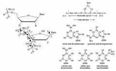 Structures of nucleic acids