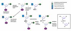 Phosphoramidite method 