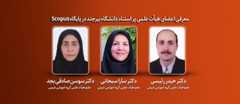 معرفی اعضای هیأت علمی پر استناد دانشگاه بیرجند در پایگاه Scopus