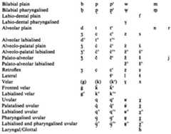 I sistema fonologico consonantico dell'ubykh