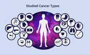 Studied Cancer Types
