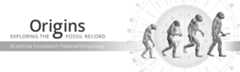 Origins Exploring the Fossil Record Bradshaw Foundation Palaeoanthropology Human Evolution Prehistory Fossils Artifacts Anthropology Species Hominids Hominin