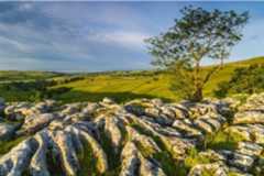 Malham Cove, Limestone Pavement Print