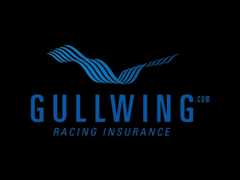 Gullwing Logo