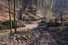 Naturschutzgebiet Pähler Schlucht: Massive Zerstörungen, starkes Ausholzen, kubikmeterweise Schlamm in den Burgleitenbach; Foto: Helmut Hermann