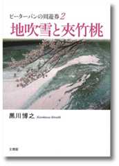 ピーターパンの周遊券2