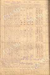 PreviewМалаВіска 0132