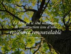 Tuile Stat2_Une foret de possibilités