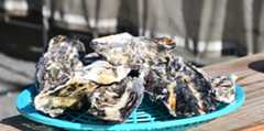 泉州の牡蠣（2月）