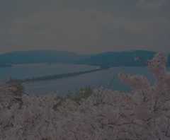 市の概要の画像