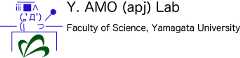 Y.Amo(apj) Lab