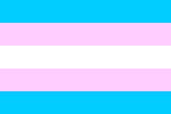 [Monica Helms' transgender flag]