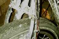 GeWilli's salty bike