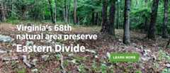 Eastern Divide Natural Area Preserve