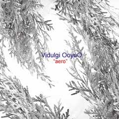 Vidulgi OoyoO
