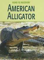 American Alligator Book