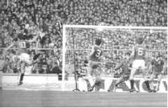 Manchester United vs Brighton & Hove Albion