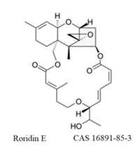 RORIDIN E