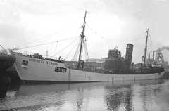 S.T.Northern Reward LO168