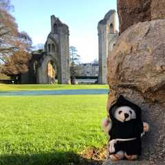 Glastonbury Abbey Shop