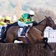 Inothewayurthinkin will head to Leopardstown at Christmas (Adam Davy/PA)