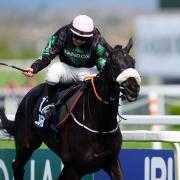 Strong Leader bids for back-to-back wins in the Long Distance Hurdle at Newbury (Mike Egerton/PA)
