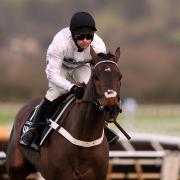 Constitution Hill will head to Newcastle on Saturday (Bradley Collyer/PA)