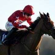 Regent’s Stroll will seek to enhance his great Newbury record (Bradley Collyer/PA)