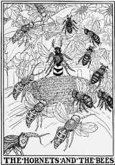THE HORNETS AND THE BEES.